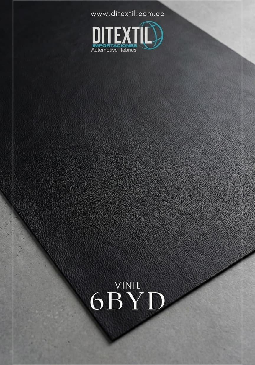 Vinil 6 byd